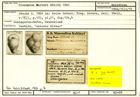 Karteikarte zum Holotyp von Plecanium karreri Stache, 1864